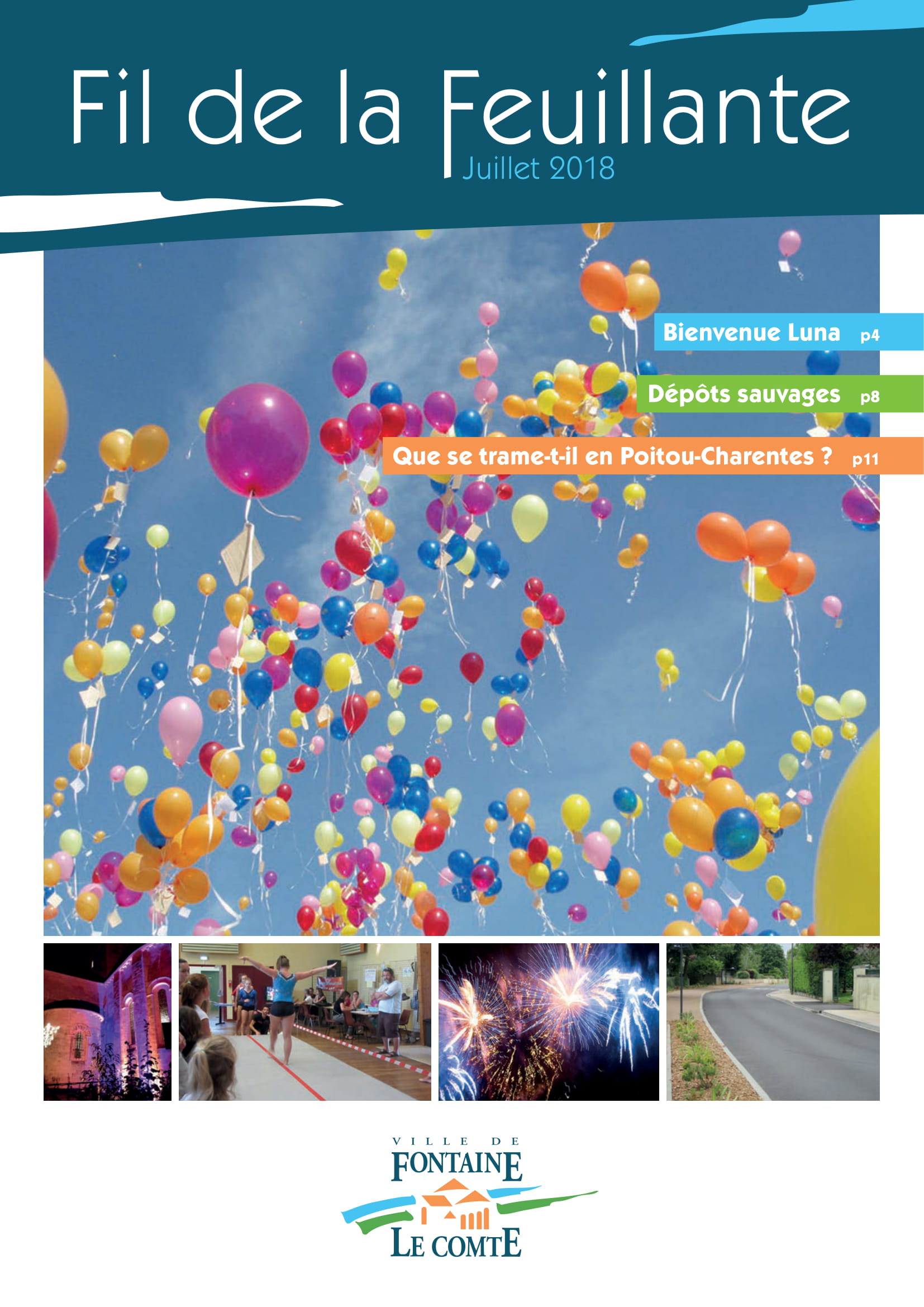 Image de la publication